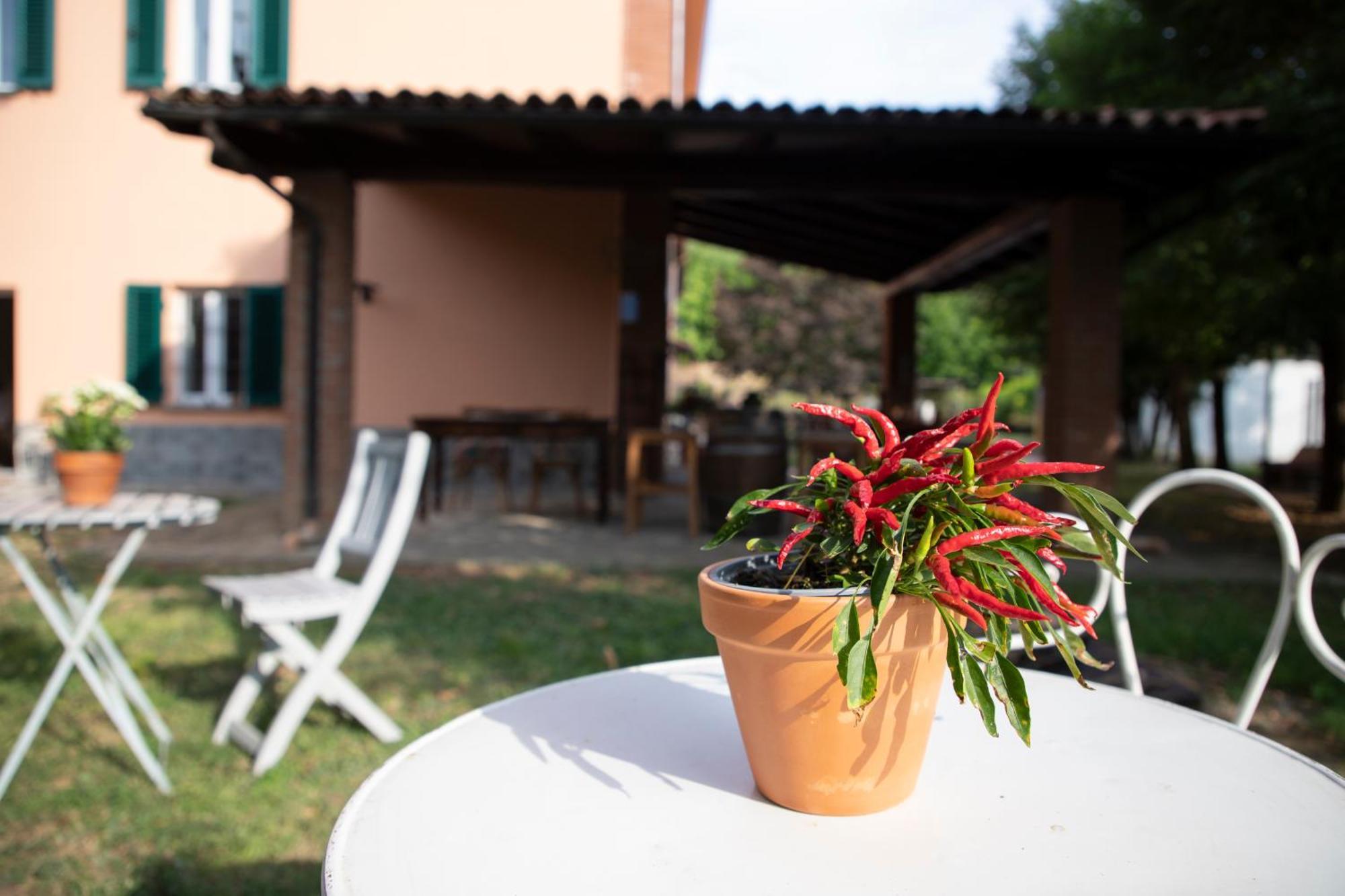 Country Boutique Paradiso Valmadonna Luaran gambar