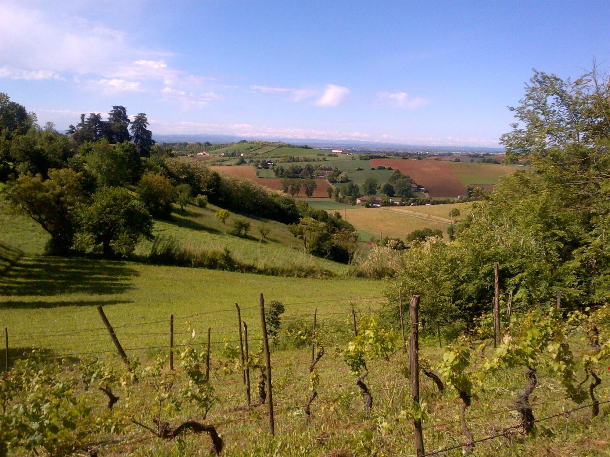 Country Boutique Paradiso Valmadonna Luaran gambar